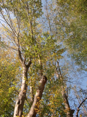 cimg3892_thumb